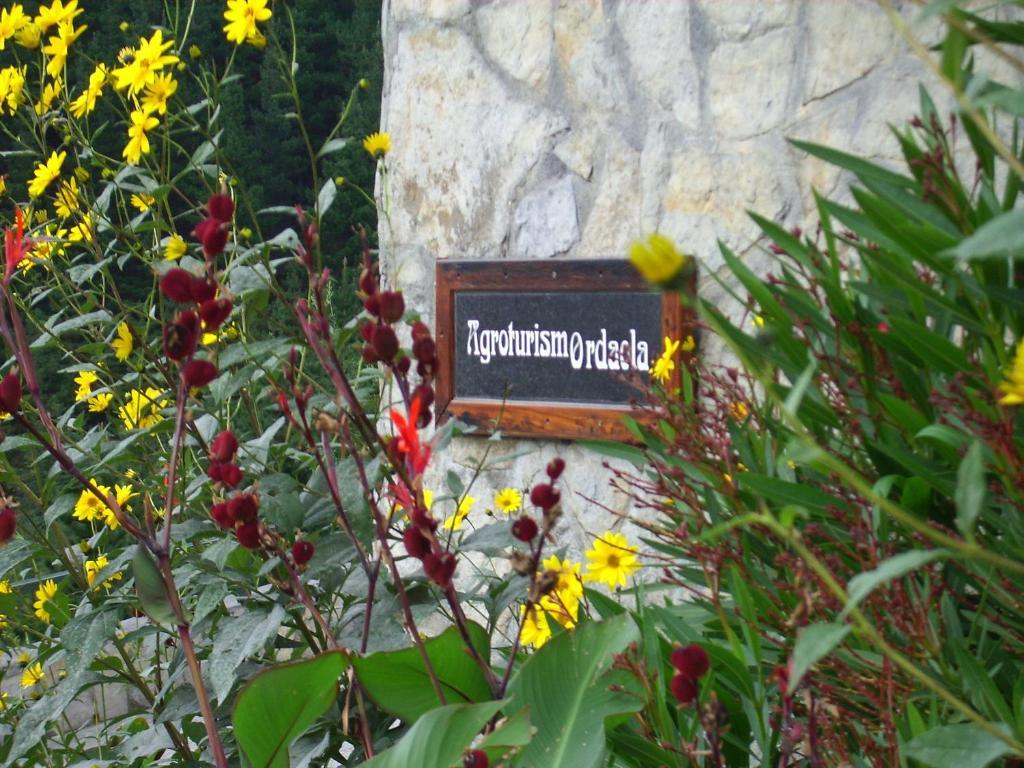Agroturismo Ordaola Alonsotegi Екстер'єр фото